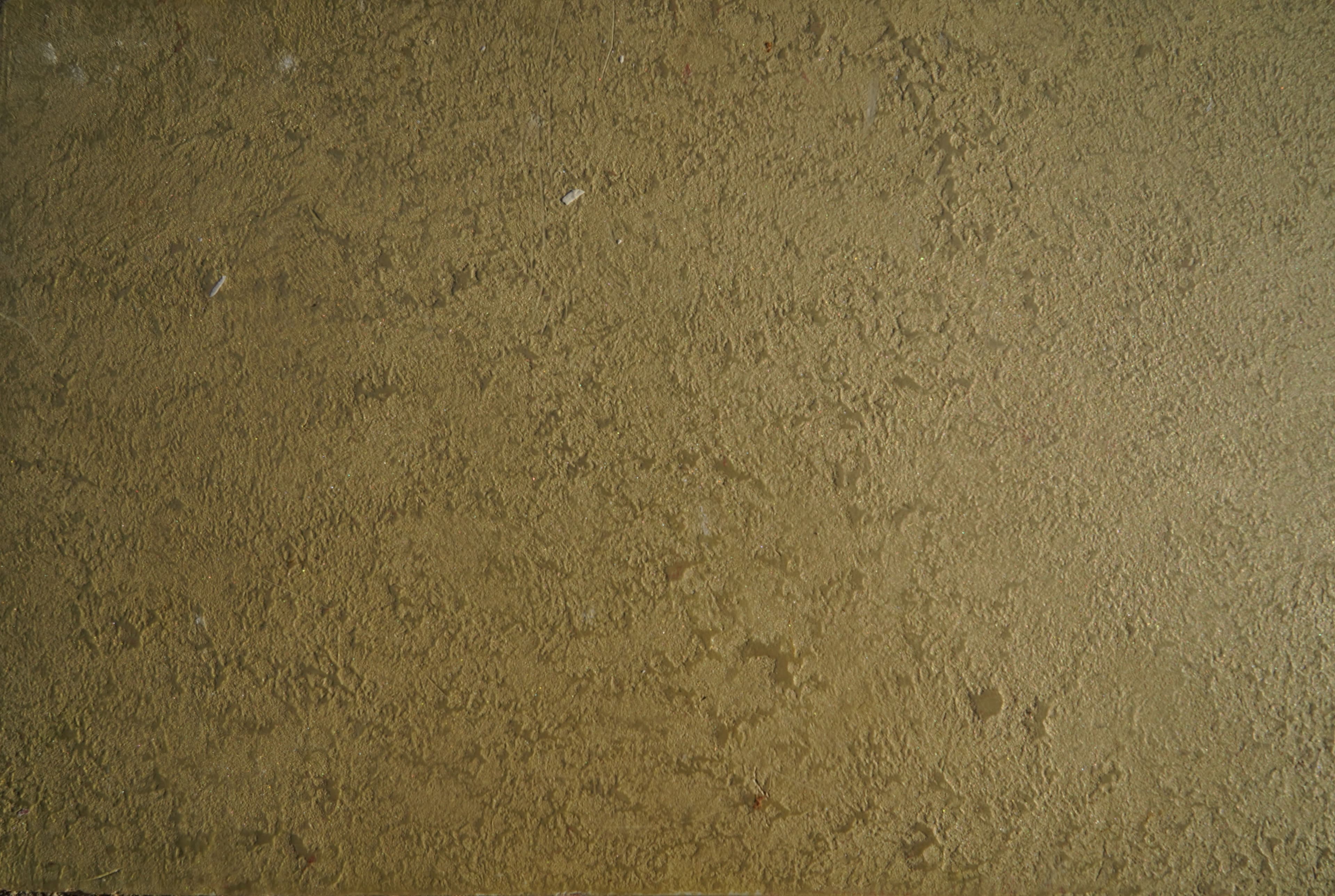 Stamped Concrete